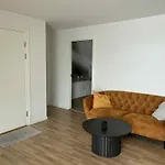I Hjørring